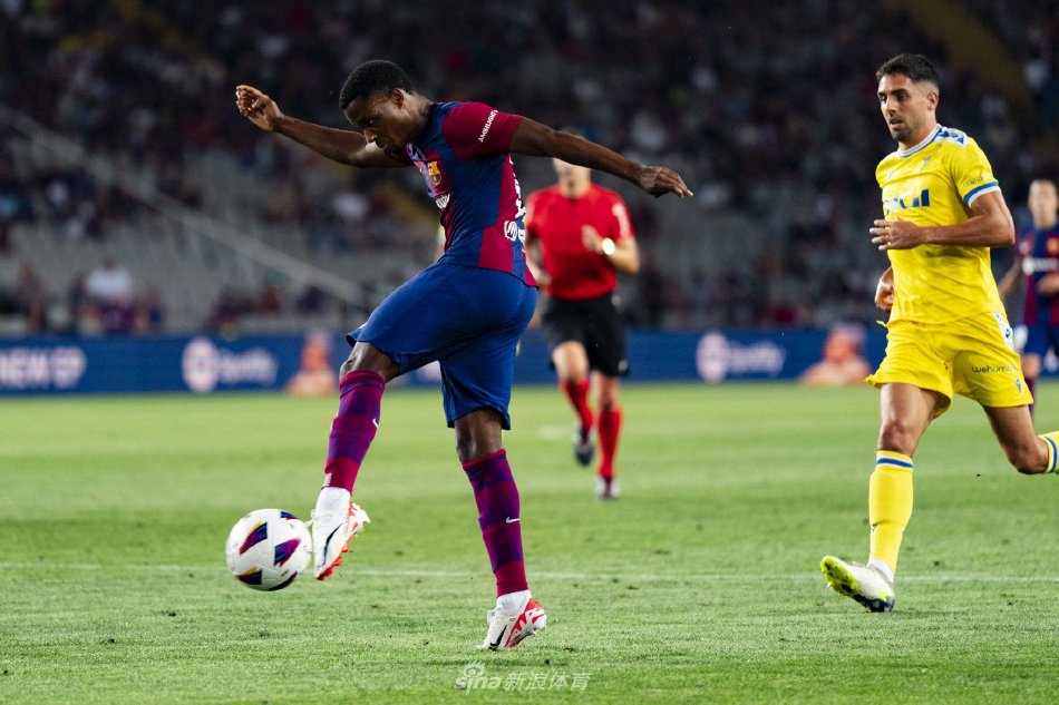 可能会让追 可能会让追