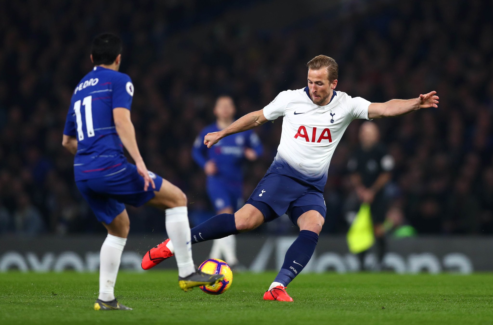 特鲁姆普被 特鲁姆普被