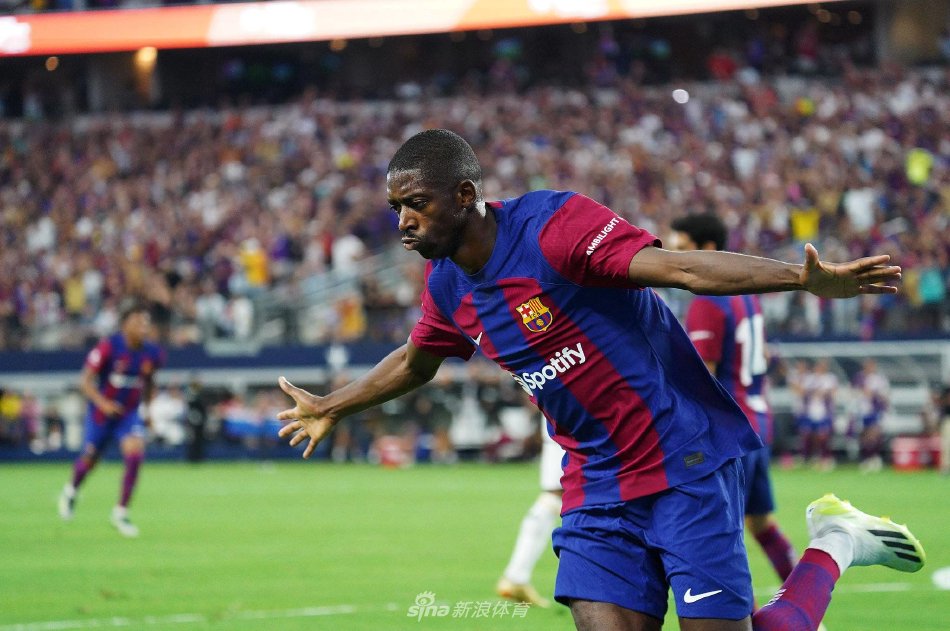 往往会迅速 往往会迅速